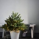 Busk koristepuu LED-valoilla 75 cm