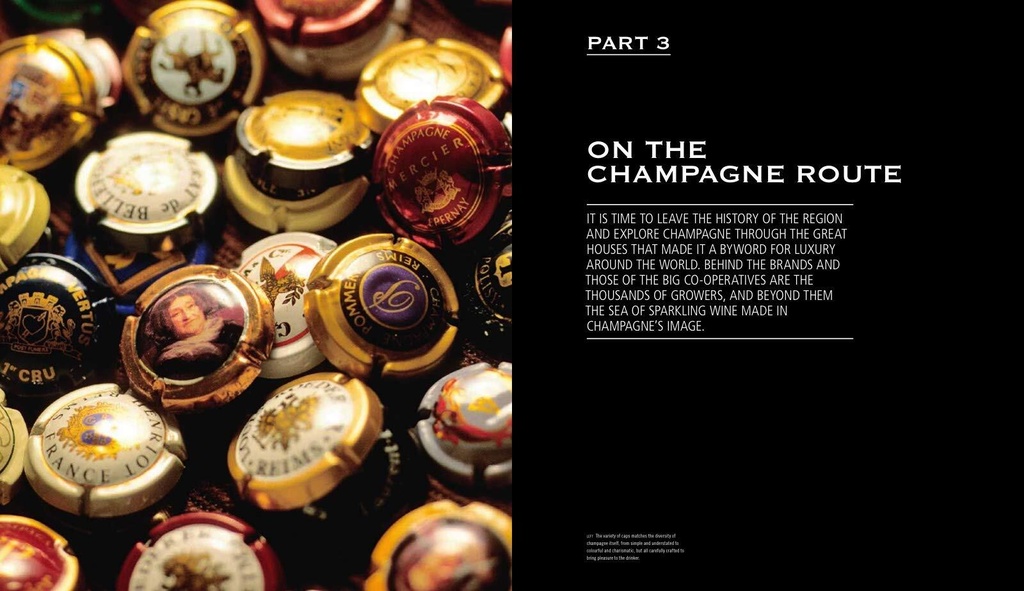 Kirja CHAMPAGNE - WINE OF KINGS AND THE KING OF WINES