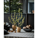 Joulumänty kävyillä