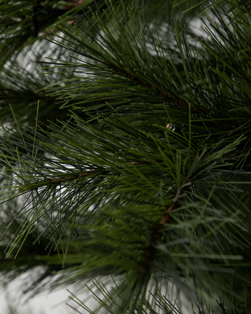 Joulumänty LED-valoilla