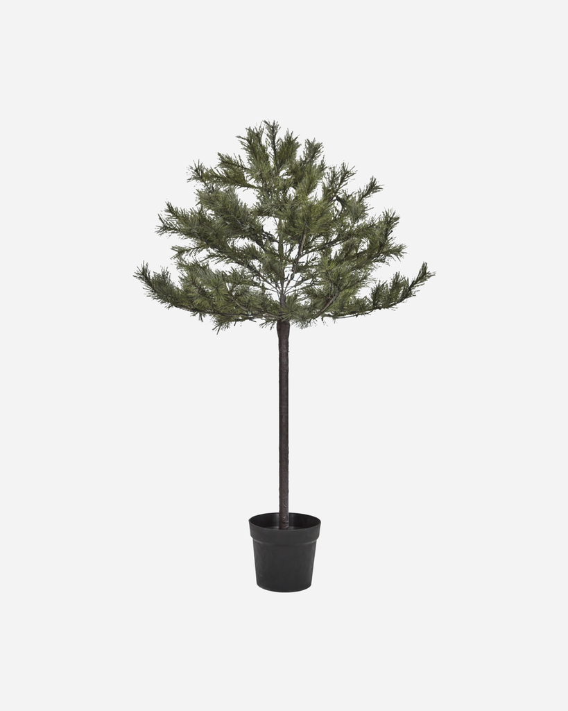 Joulumänty LED-valoilla