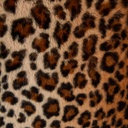 Viltti Leo ruskea 140x220 cm