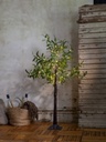 Koristepuu Olivec 120cm
