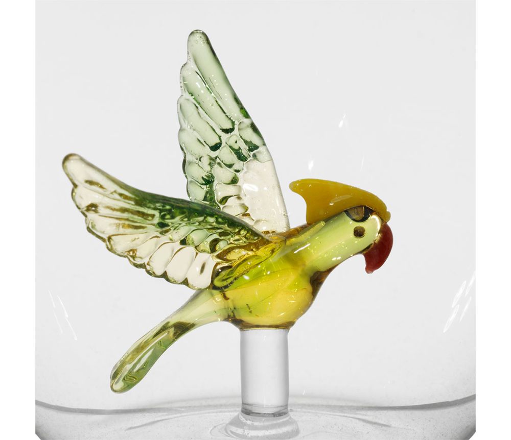  Juomalasi papukaija 50CL