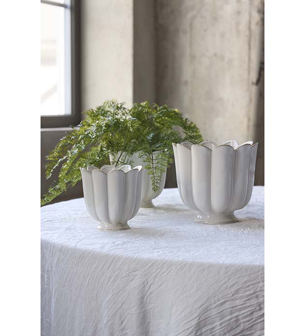 Kukkaruukku Catarina iso (kopio)