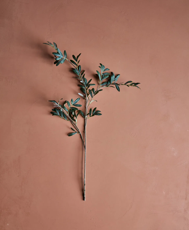 Tekokasvi, Olive, vihreä