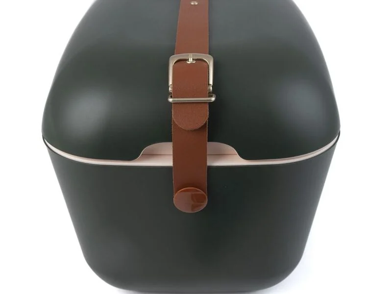 Kylmälaukku vihreä / kulta