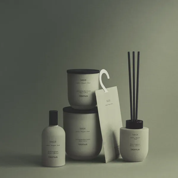 Huonetuoksu Sage100 ml 