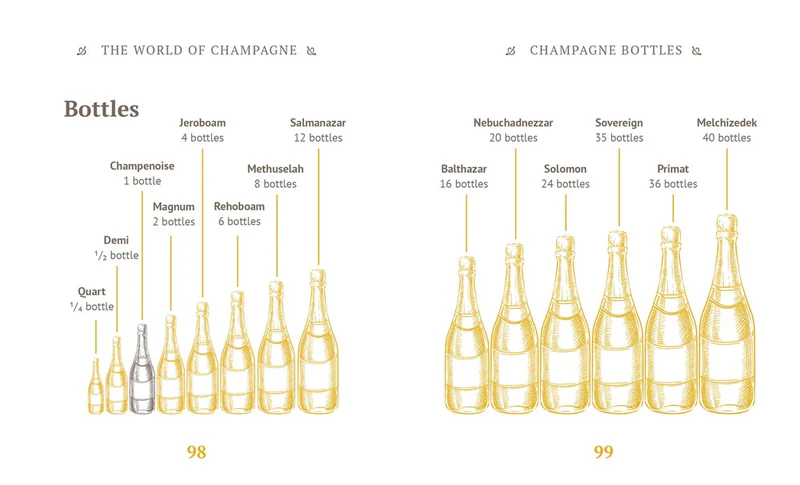 Kirja The little book of Champagne