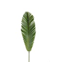 [3169-90] Palmunlehti 70cm
