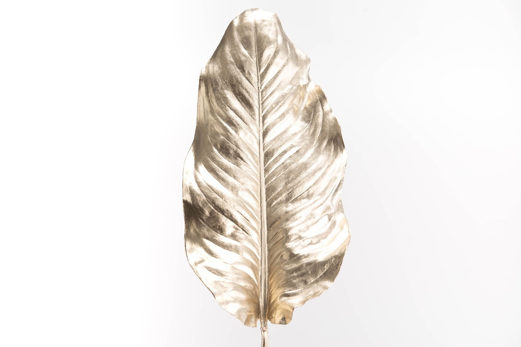 Kultainen lehti 98 cm