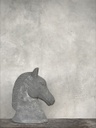 [STO008ANT] Hevosenpää koriste BRUTUS antiikinharmaa