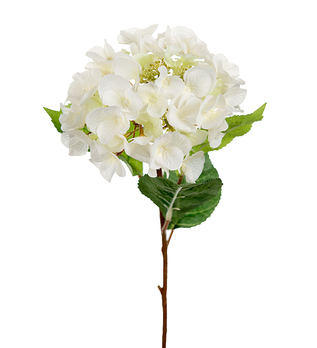 Hortensia 45 cm valkoinen