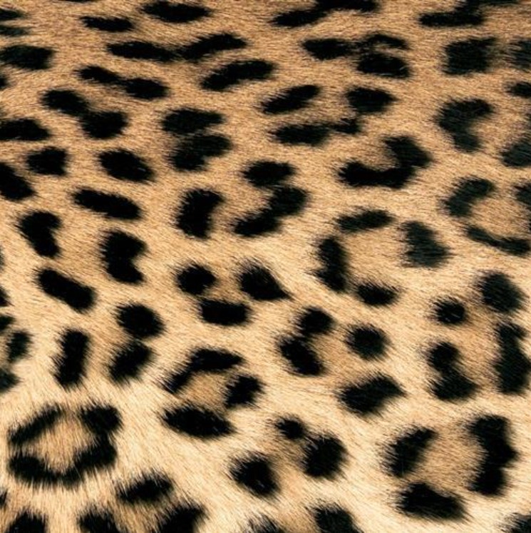 Paperiservietti LEOPARD COUTURE