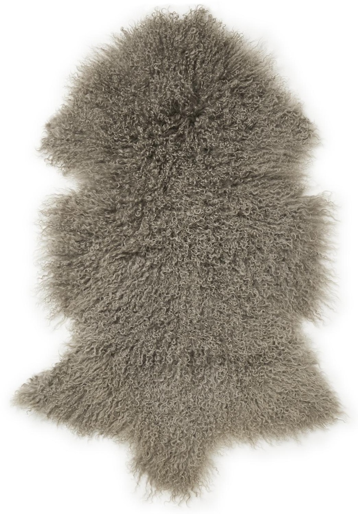 Lampaantalja SHANSI Mushroom