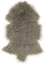 Lampaantalja SHANSI Mushroom