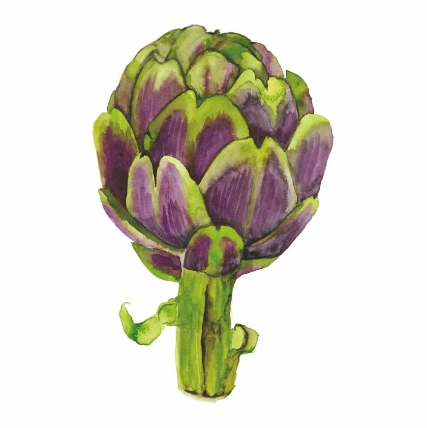 Paperiservietti Artichoke 25x25 cm