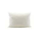 Sisätyyny höyhen 50x60 cm
