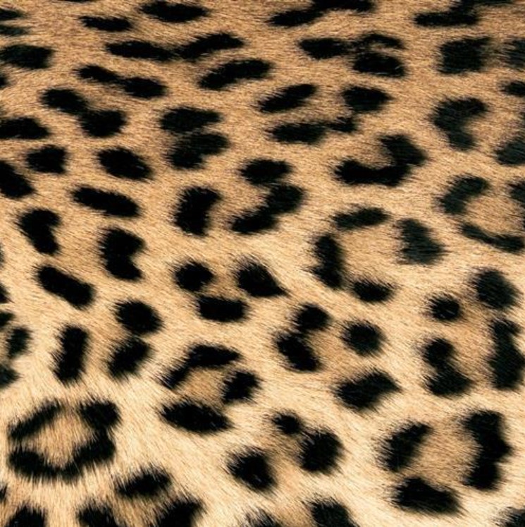 Paperiservietti LEOPARD COUTURE 33x33
