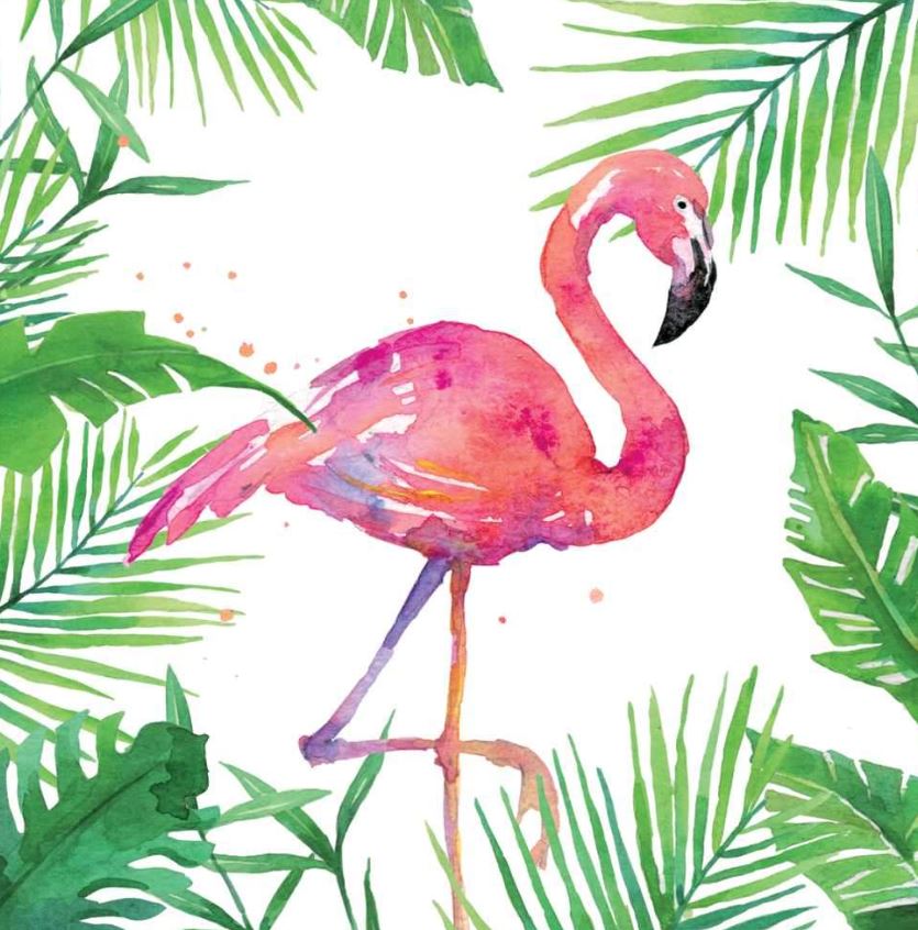 Paperiservietti TROPICAL FLAMINGO