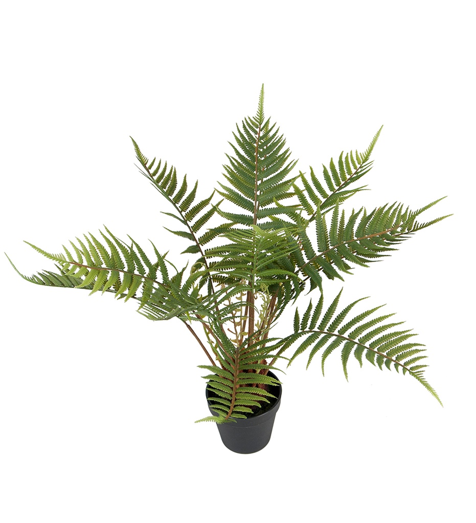SANIAINEN 50cm