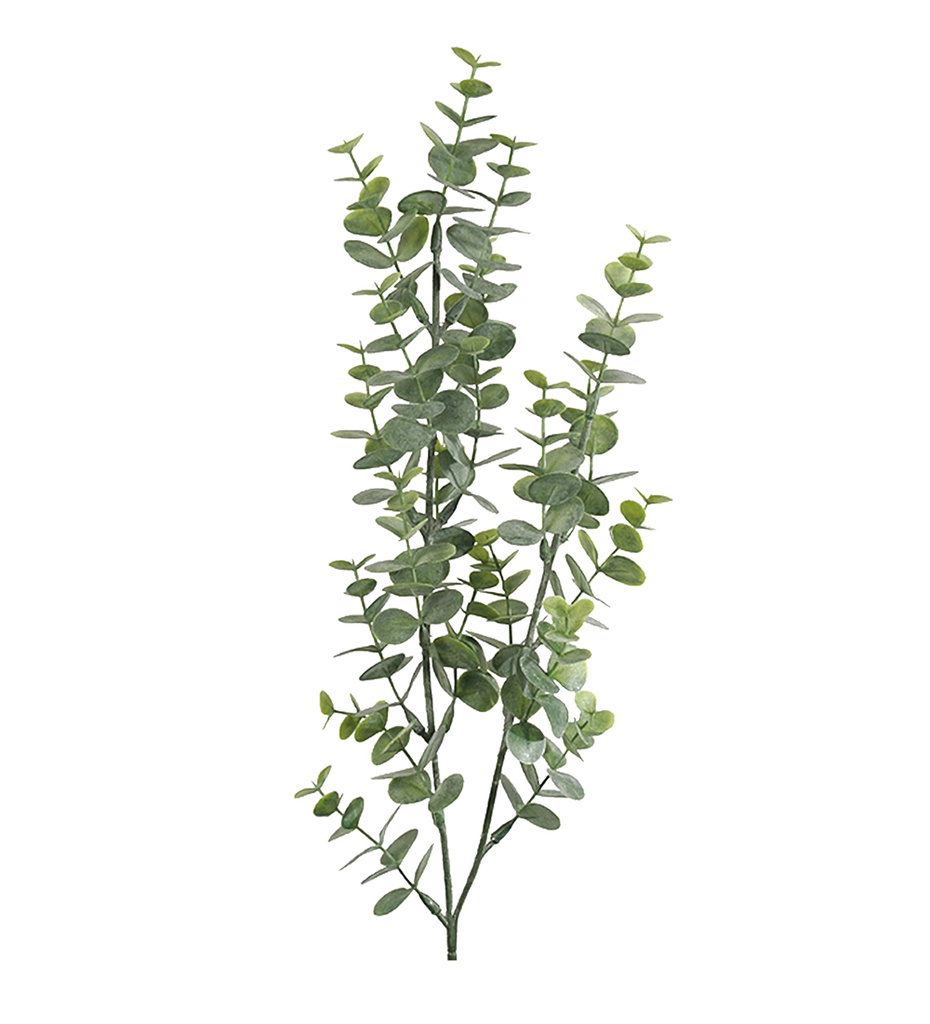 Eucalyptus 74 cm