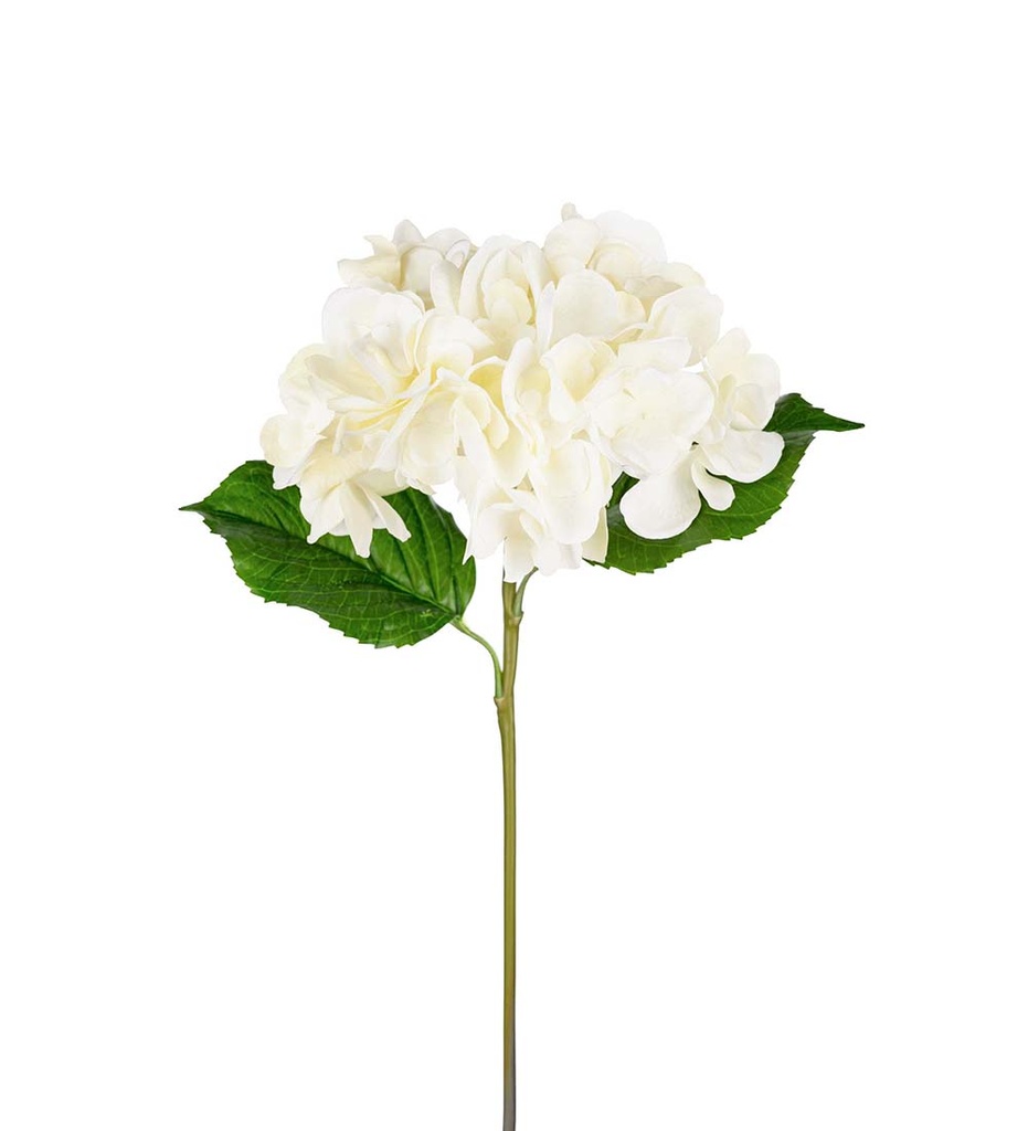 Hortensia 55cm valkoinen