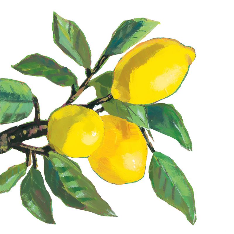 Paperiservetti LEMON MUSÉE valkoinen 12,5x12,5cm