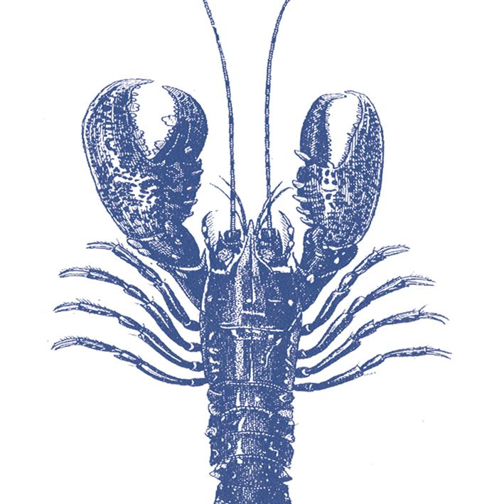 Servetti LOBSTER MARINE 33x33cm