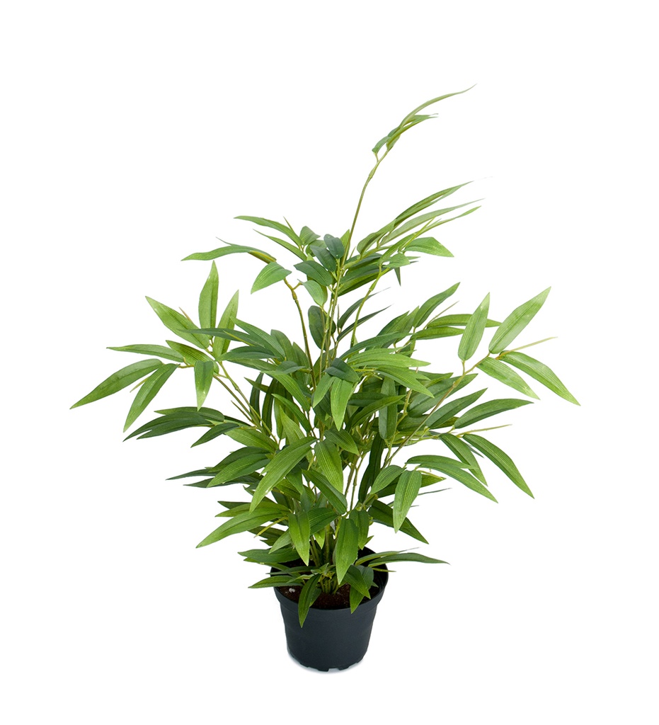 BAMBU 45cm