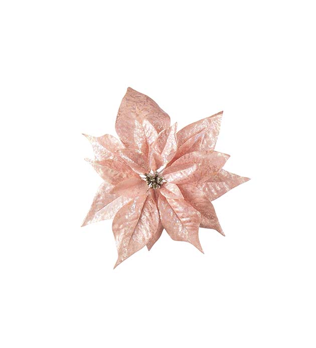 Joulutähti roosa