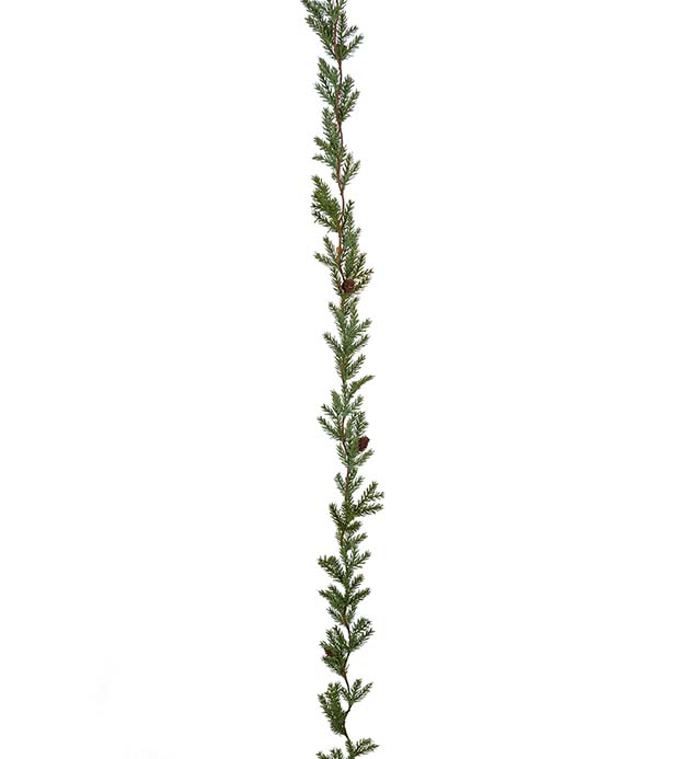 Havu köynnös kävyillä 160cm