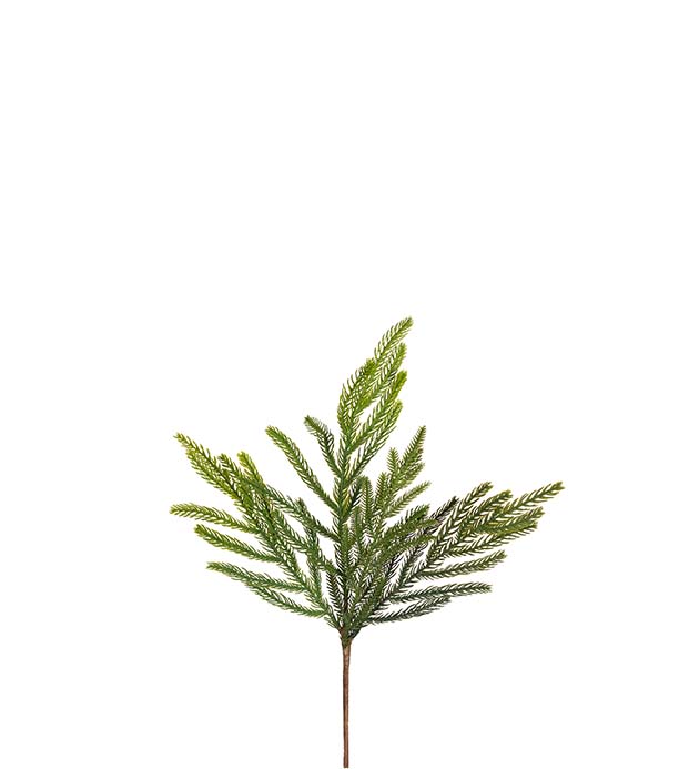 Kuusen oksa 50 cm