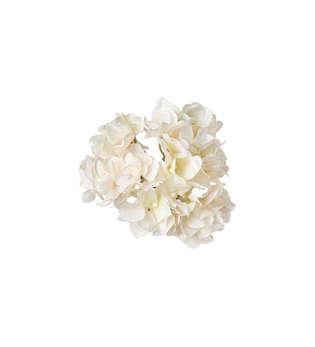 Hortensia valkoinen serviettipidike 