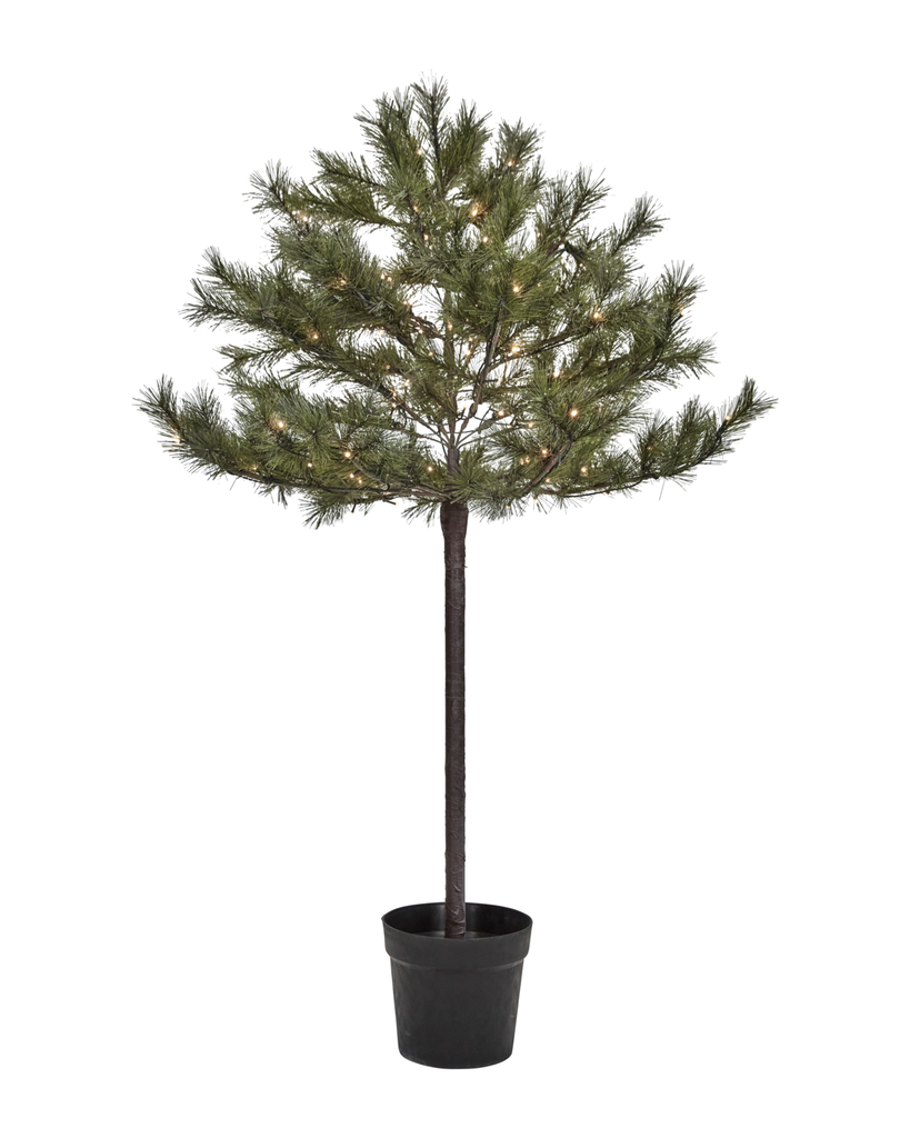 Joulumänty LED-valoilla