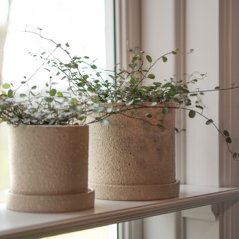 Grow ruukku