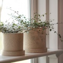 Grow ruukku