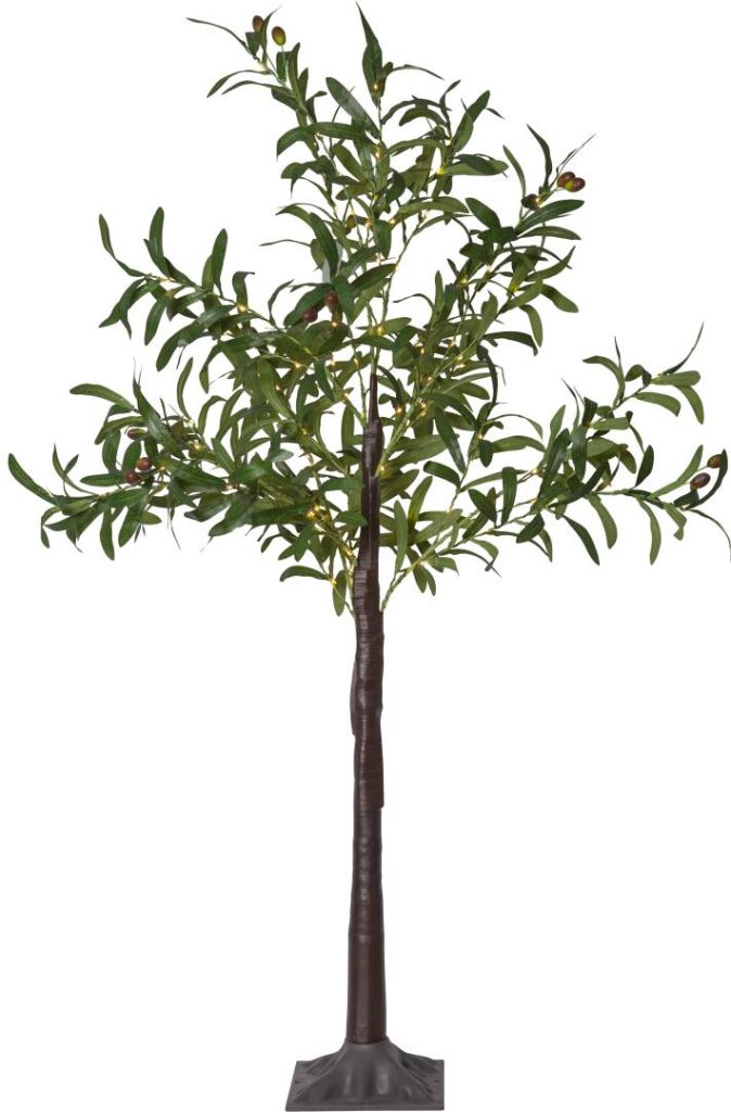 Koriste valopuu Olivec 120cm