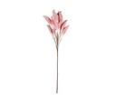 Kukka Festive Pink