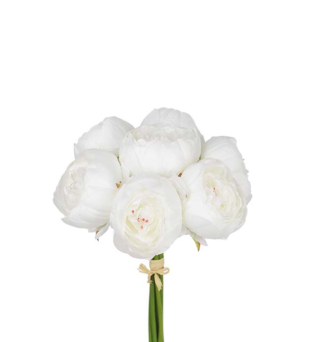 Tekokukka Pioni Valkoinen