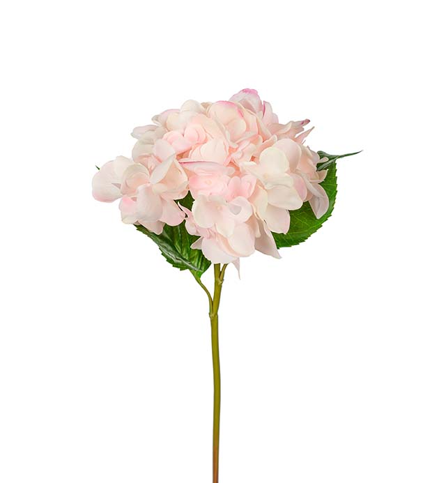 Hortensia 55 cm vaaleanpunainen