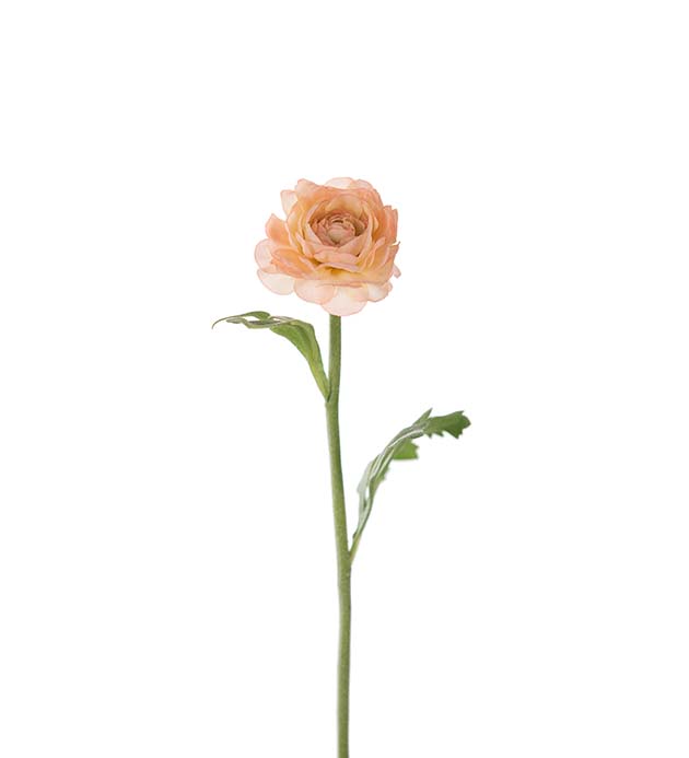 Tekokukka Leinikki Persikka