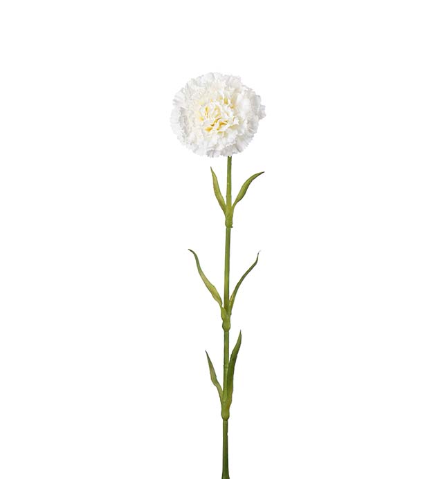 Tekokukka Neilikka Valkoinen