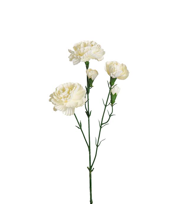 Tekokukka Neilikka kimppu Valkoinen