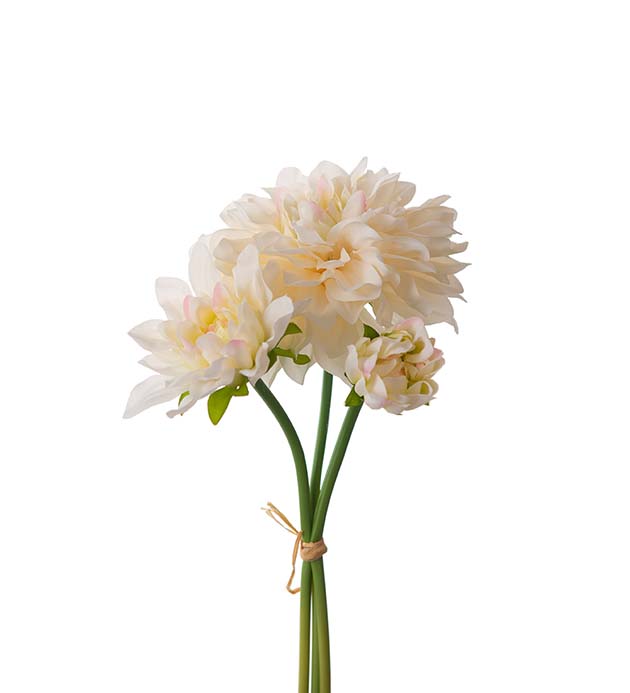 Tekokukka Daalia kimppu