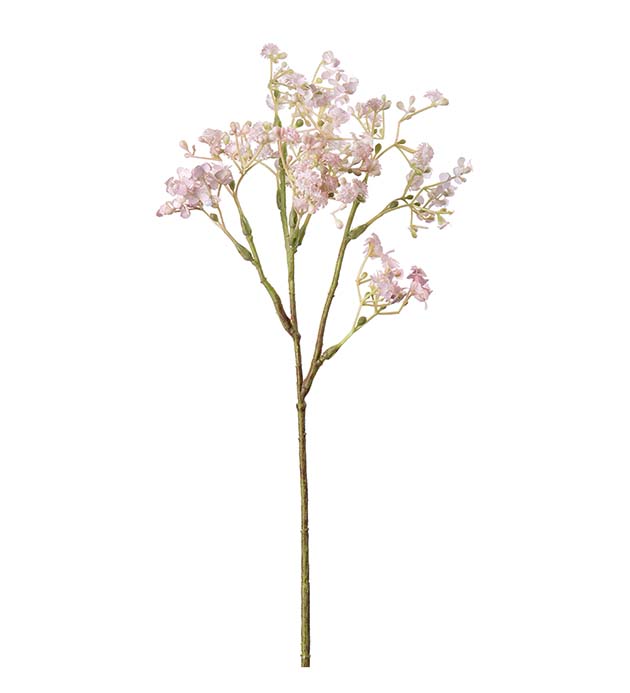 Harsokukka vaaleanpunainen