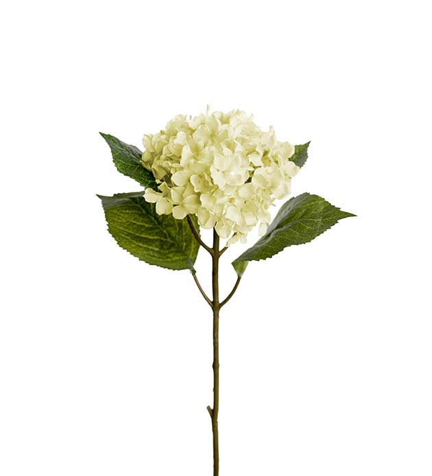 Hortensia 40 cm luonnonvalkoinen