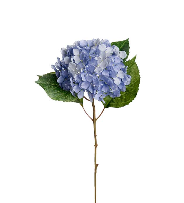 Hortensia 40 cm sininen