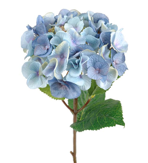 Hortensia 45 cm sininen