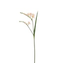 Freesia  60 cm vaaleanpunainen 